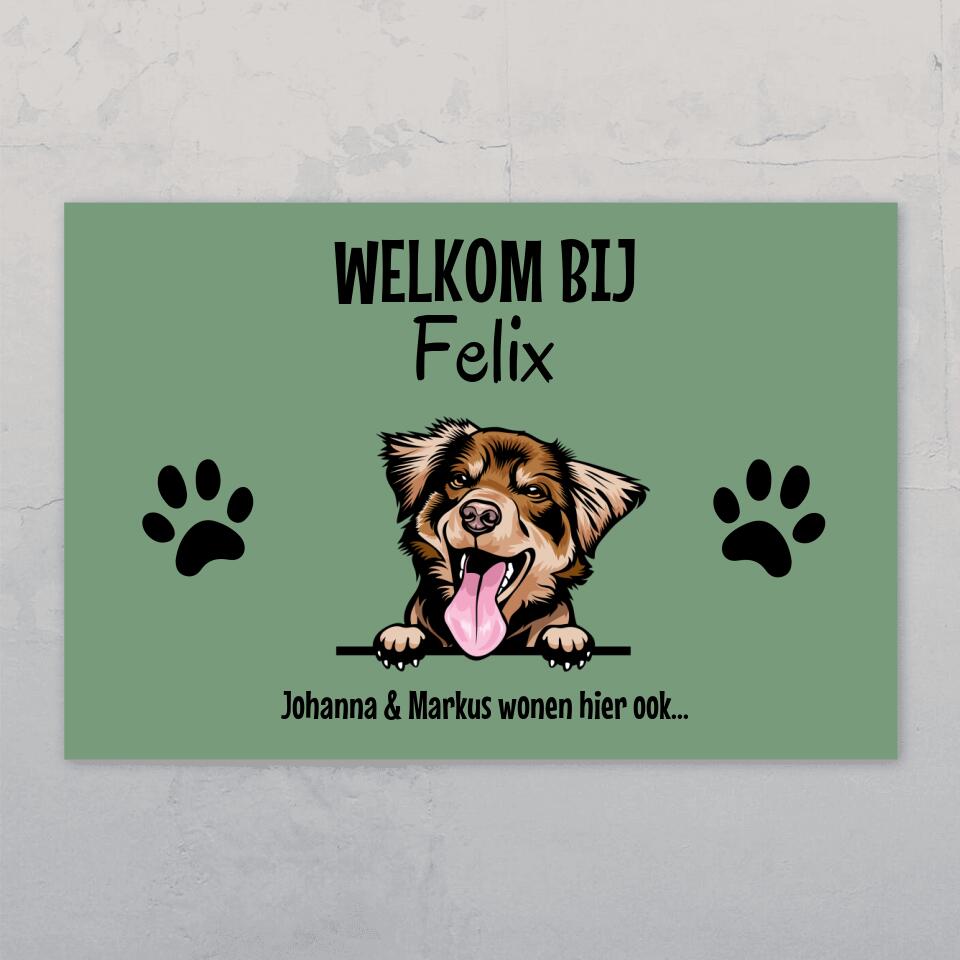 Spionerende huisdieren- Gepersonaliseerde deurbord