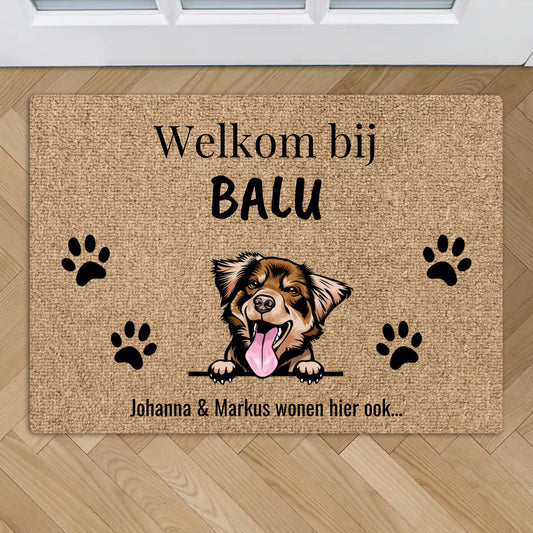 Gepersonaliseerde huisdier deurmat - Welkom bij