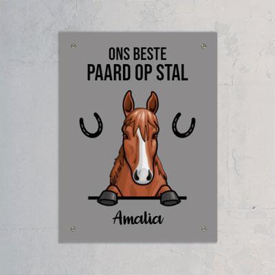 Ons beste paard in op stal - Gepersonaliseerde deurbord - Featured Image