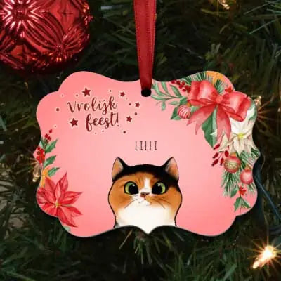 Nieuwsgierige katten - Gepersonaliseerde Ornament