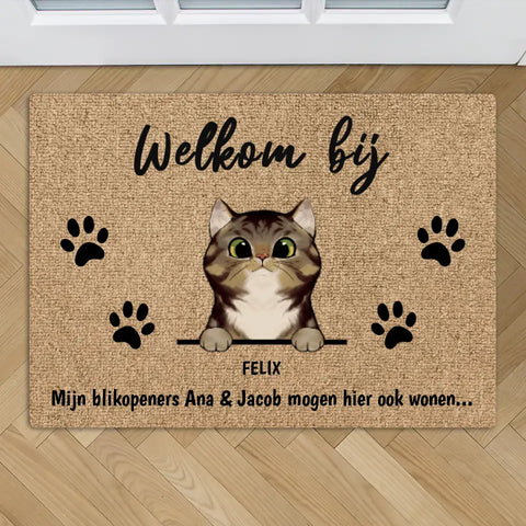 Welkom bij nieuwsgierige katten - Gepersonaliseerde deurmat - Featured Image