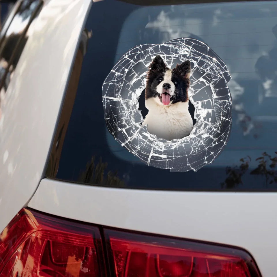 Gluren fotoglas - Gepersonaliseerde autosticker