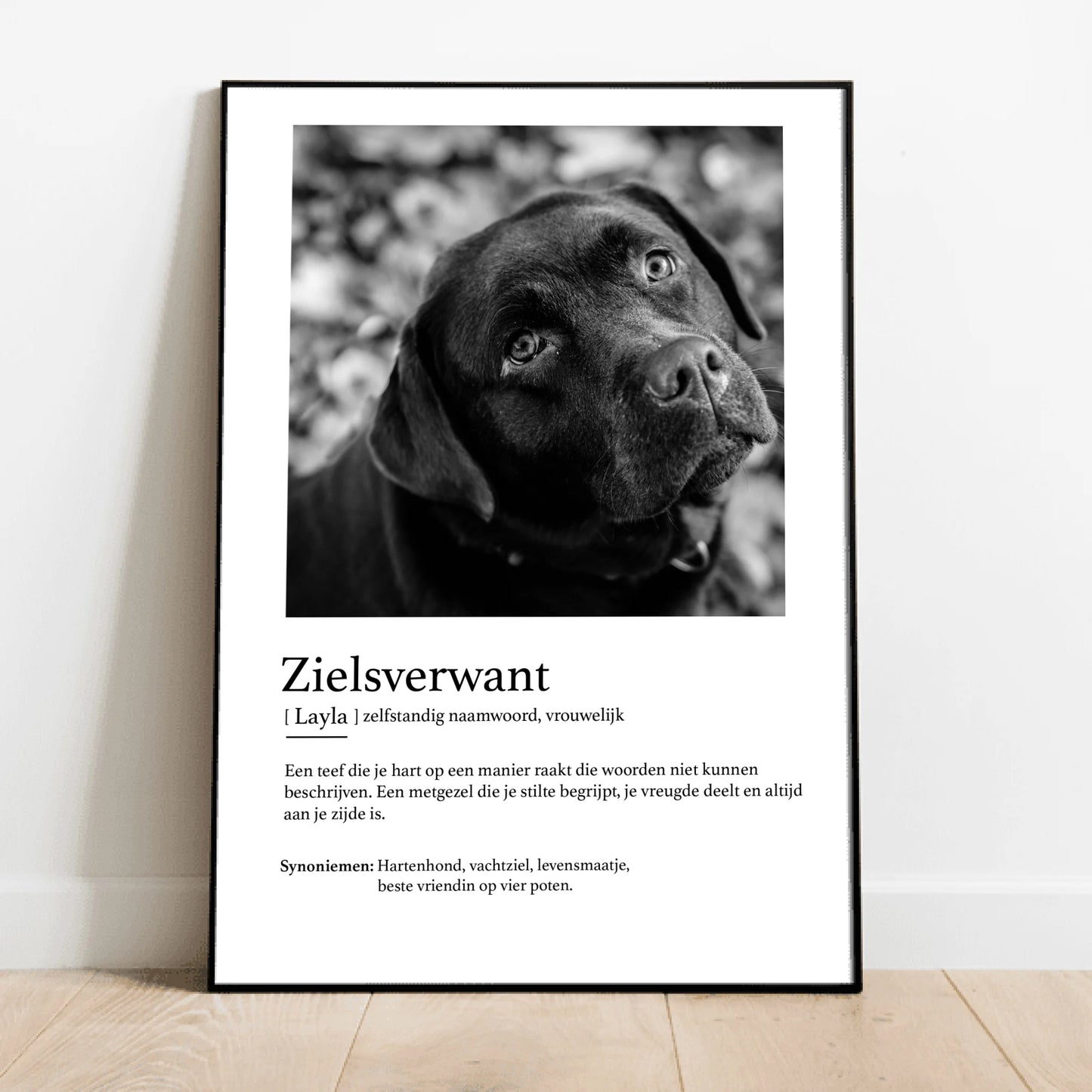 Definitie van zielsverwant - Gepersonaliseerde poster