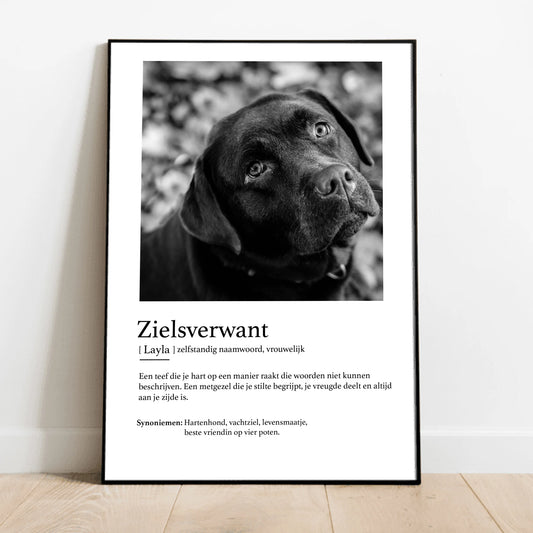 Definitie van zielsverwant - Gepersonaliseerde poster