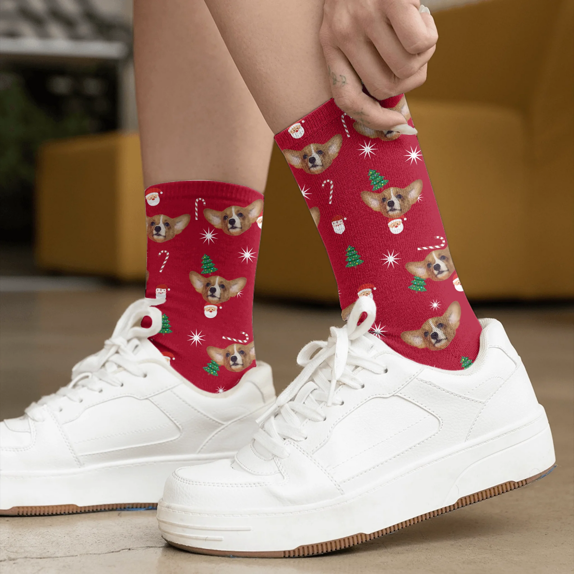 Socks - 3