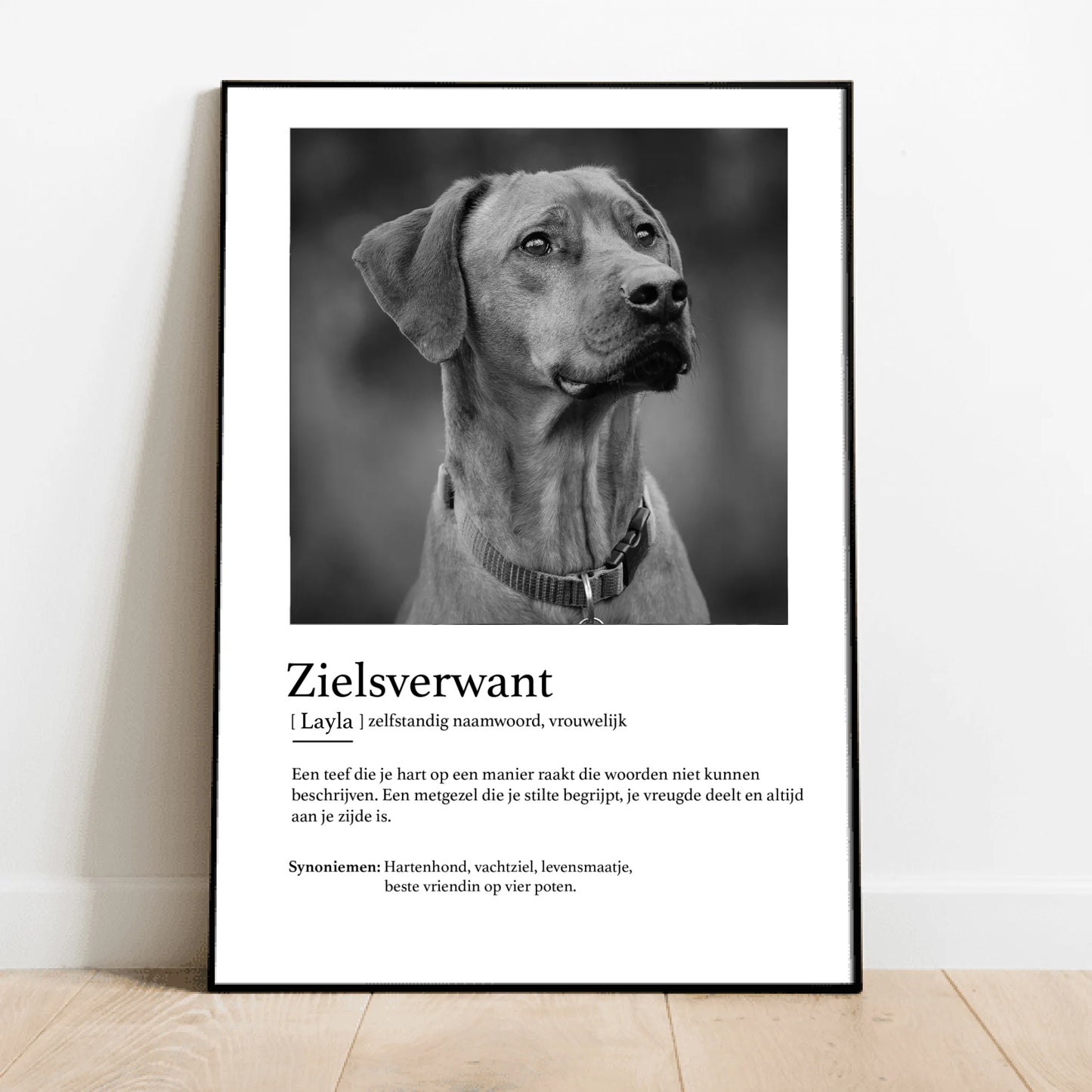 Definitie van zielsverwant - Gepersonaliseerde poster