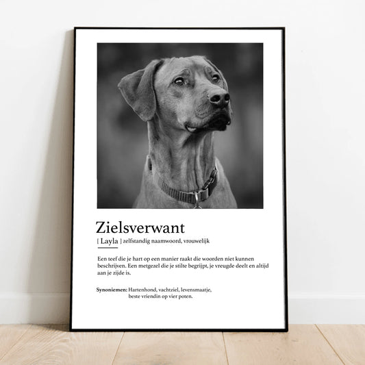 Definitie van zielsverwant - Gepersonaliseerde poster