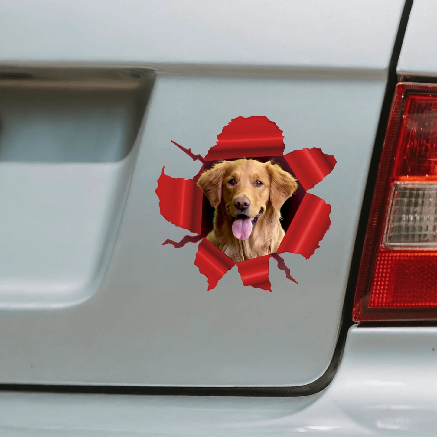 Car Sticker - SHOP NEW 1