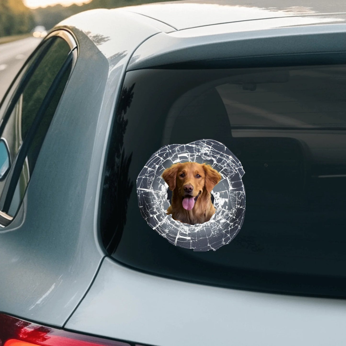 Car Sticker - SHOP NEW 2