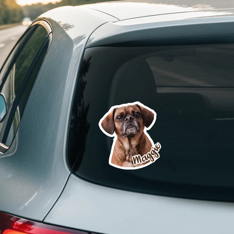 Foto van je huisdier - Gepersonaliseerde autosticker - Featured Image