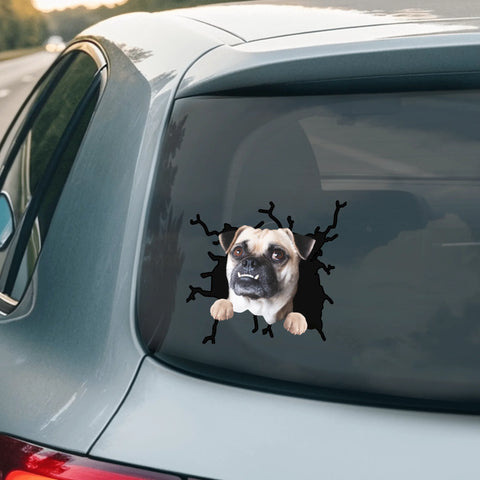 Peeking Foto Crack - Gepersonaliseerde Autosticker - Featured Image