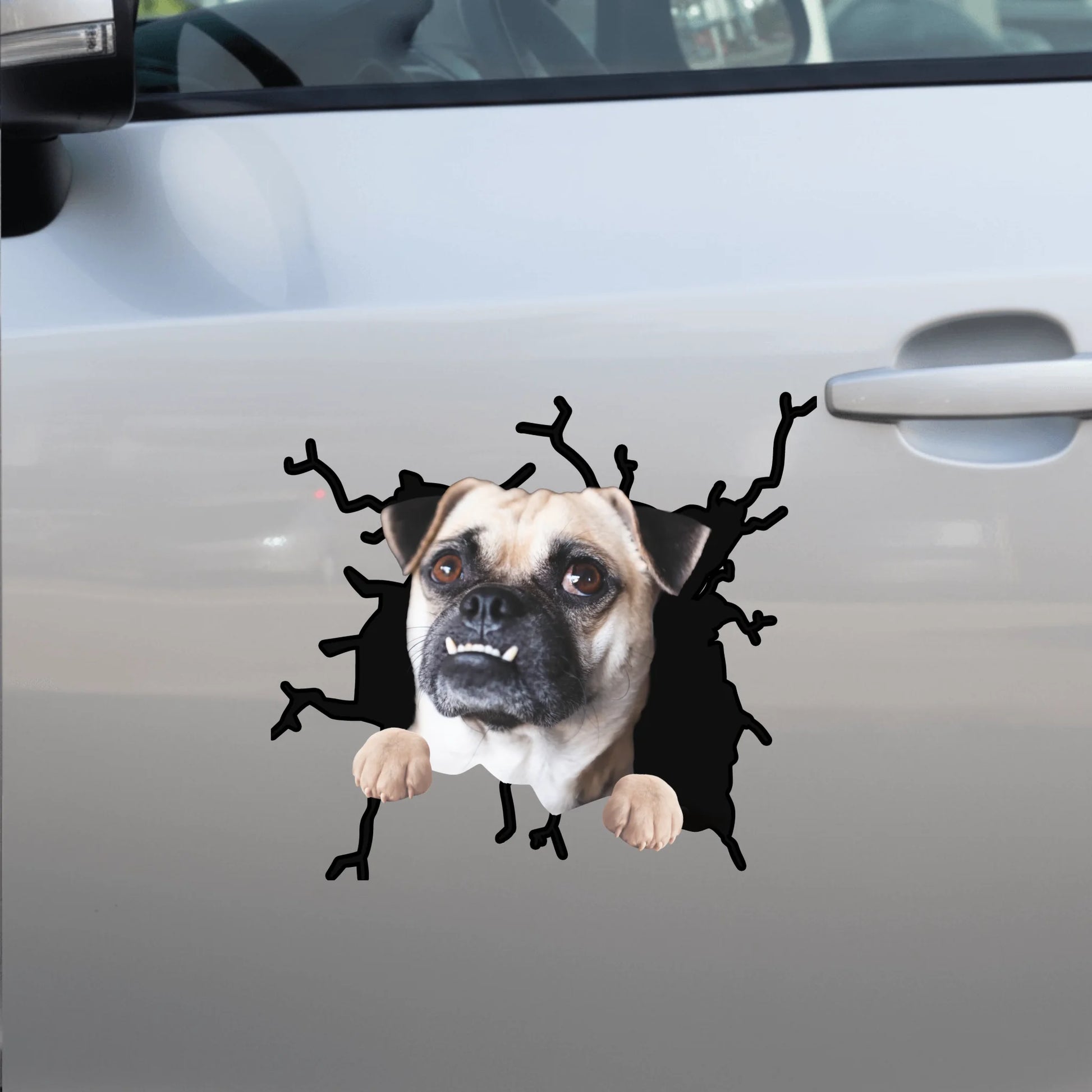 Car Sticker - SHOP NEW side door (1)