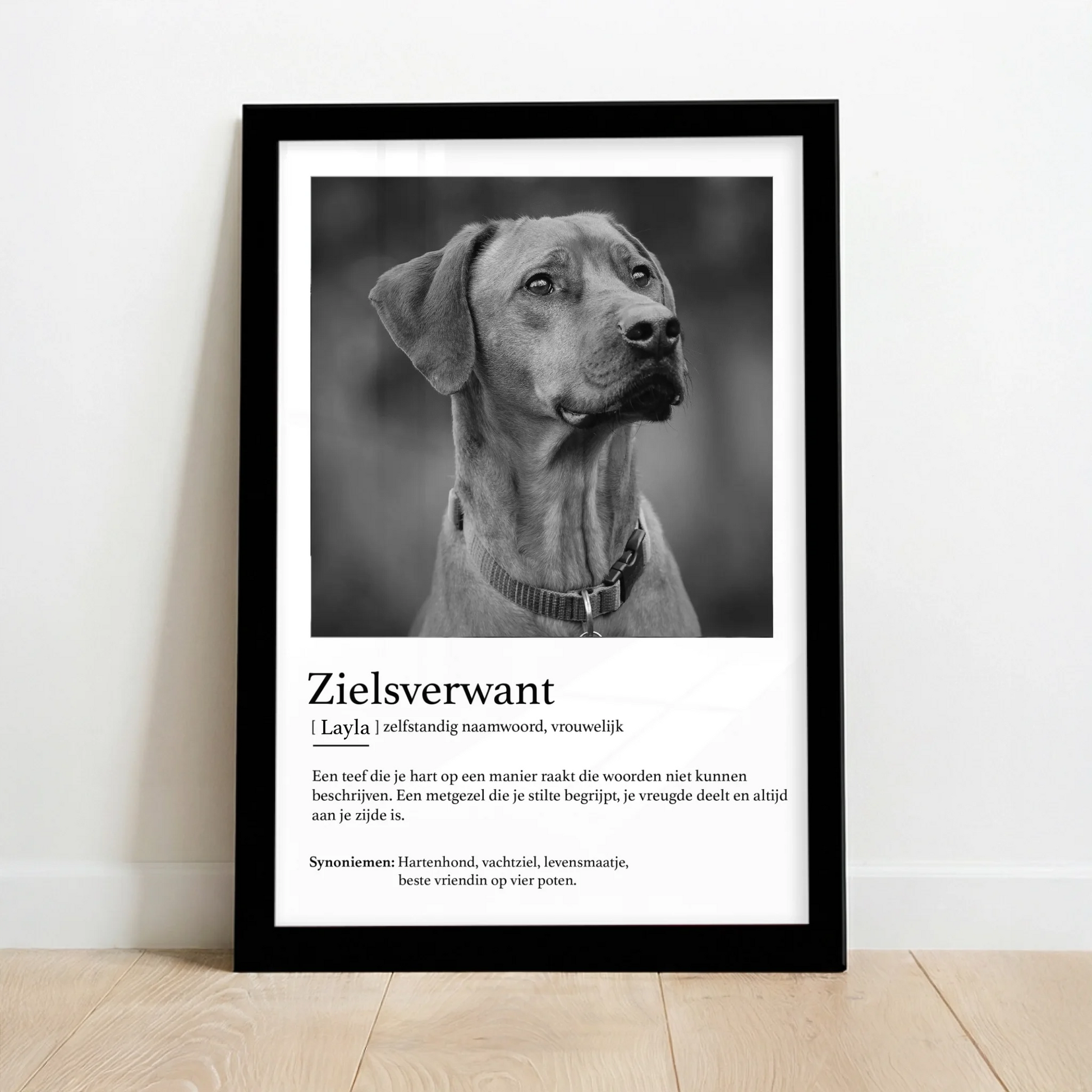 a2-Schwarz_3