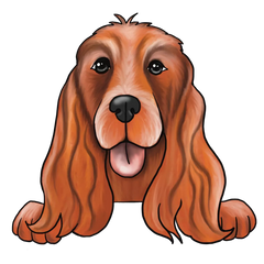 Cocker Spaniel