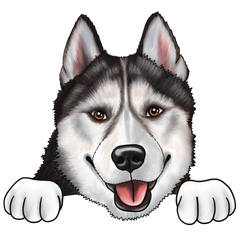 Husky