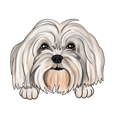 Maltezer